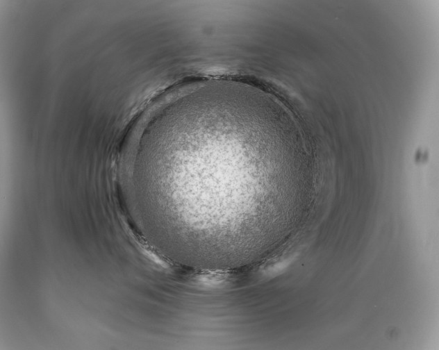 X0000089380720200706221254