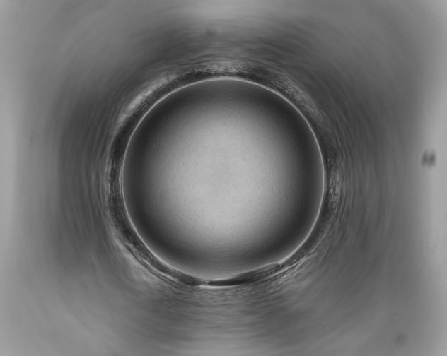 X0000089380722200706221253