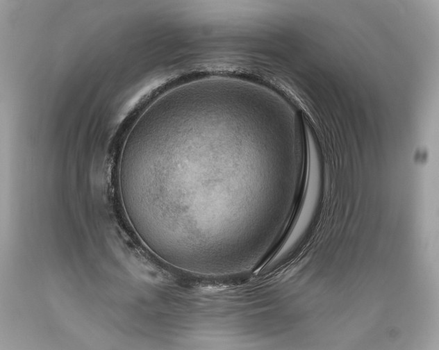 X0000089380723200706221253