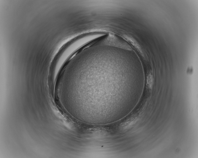 X0000089380724200706221253