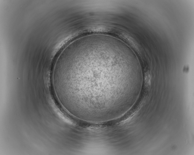 X0000089380725200706221253