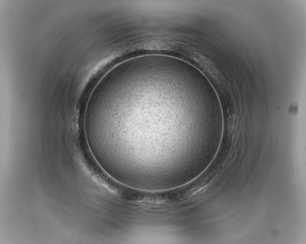 X0000089380727200706221253