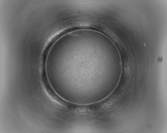 X0000089380728200706221253