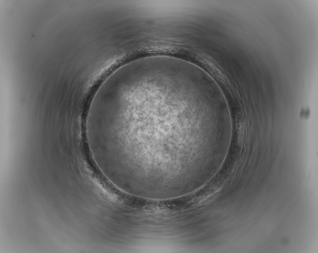 X0000089380729200706221253