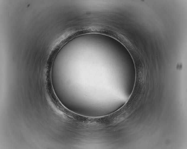 X0000089380730200706221253