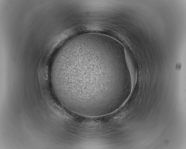 X0000089380731200706221253