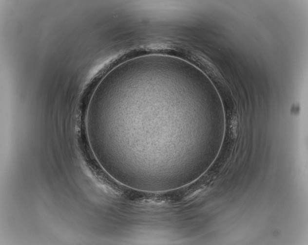X0000089380732200706221253