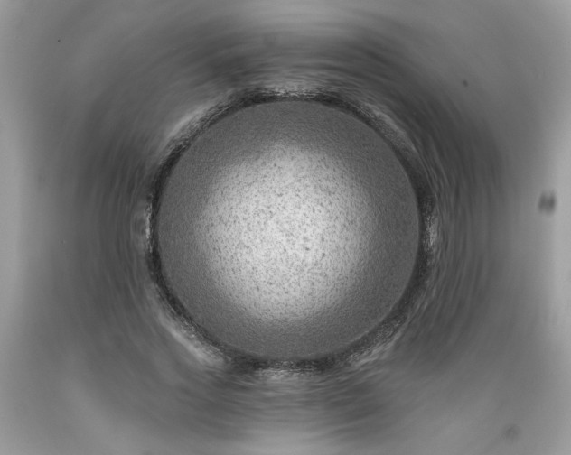 X0000089380733200706221253