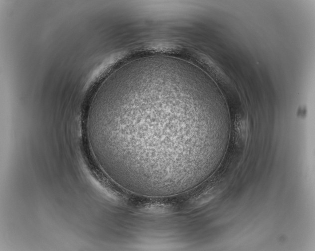 X0000089380734200706221253