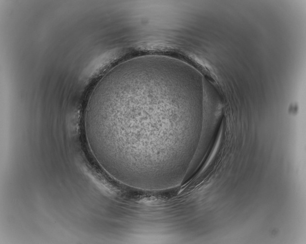 X0000089380735200706221253