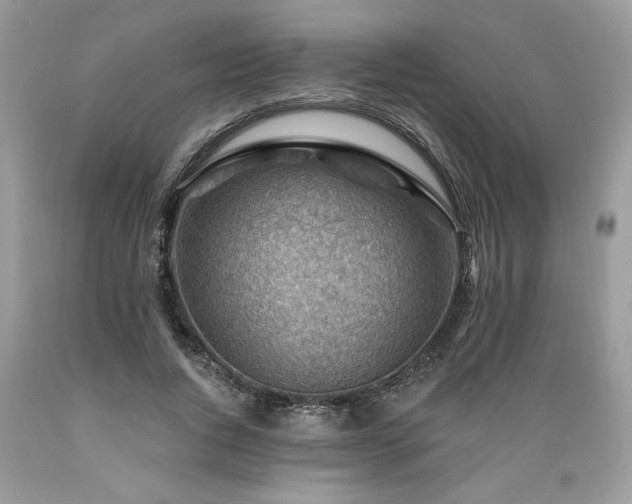 X0000089380736200706221253