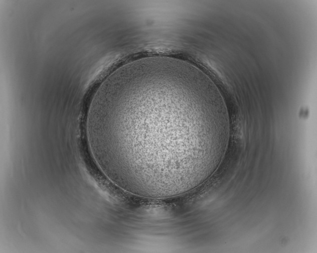 X0000089380738200706221253
