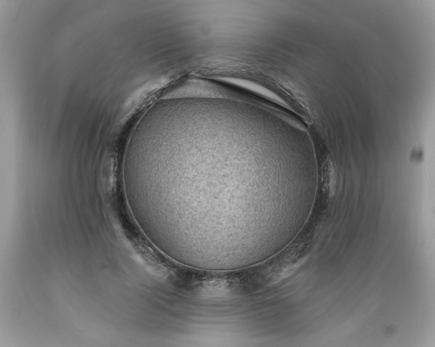 X0000089380740200706221253