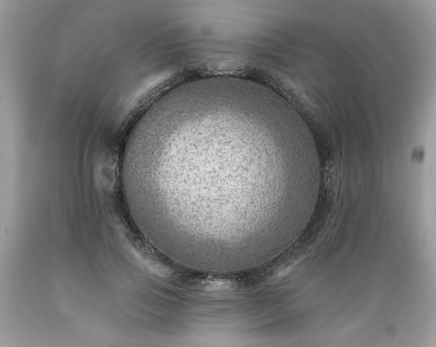 X0000089380741200706221253