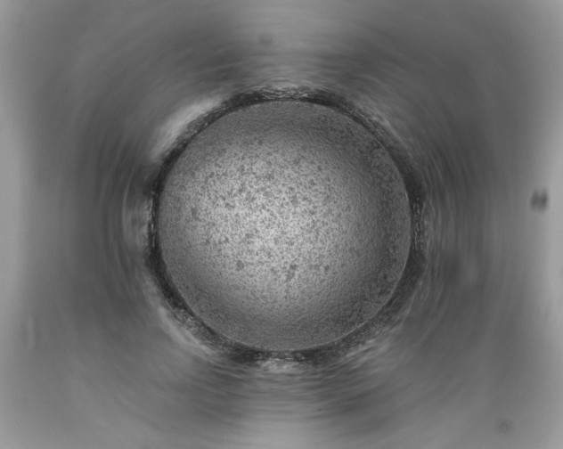 X0000089380742200706221253