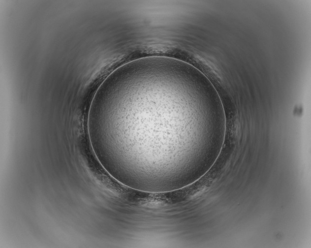 X0000089380743200706221253