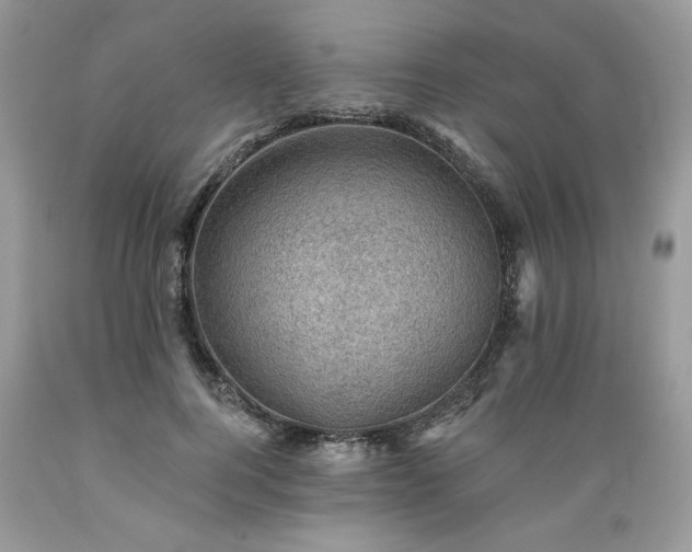 X0000089380744200706221253