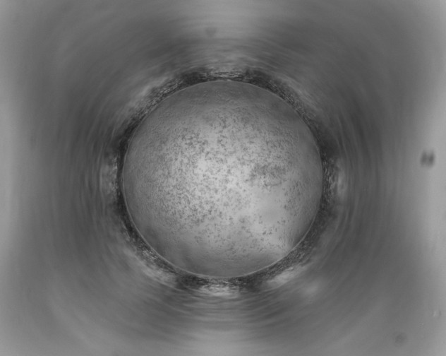 X0000089380745200706221253