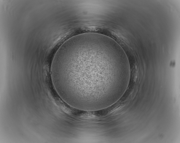 X0000089380747200706221254
