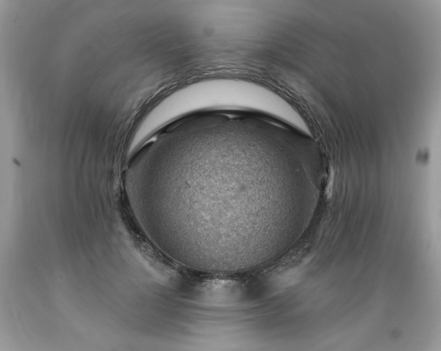 X0000089380748200706221254