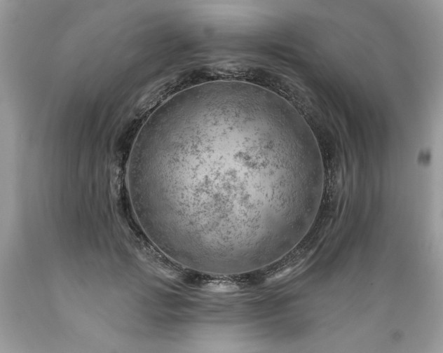 X0000089380749200706221254