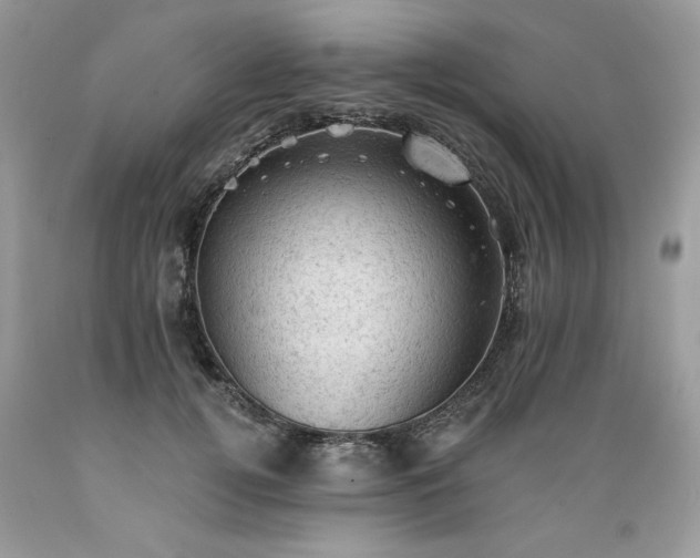 X0000089380752200706221254