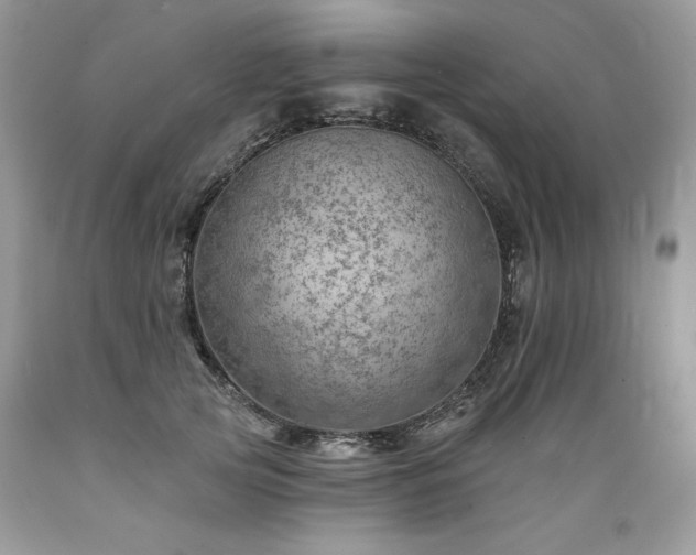 X0000089380753200706221254