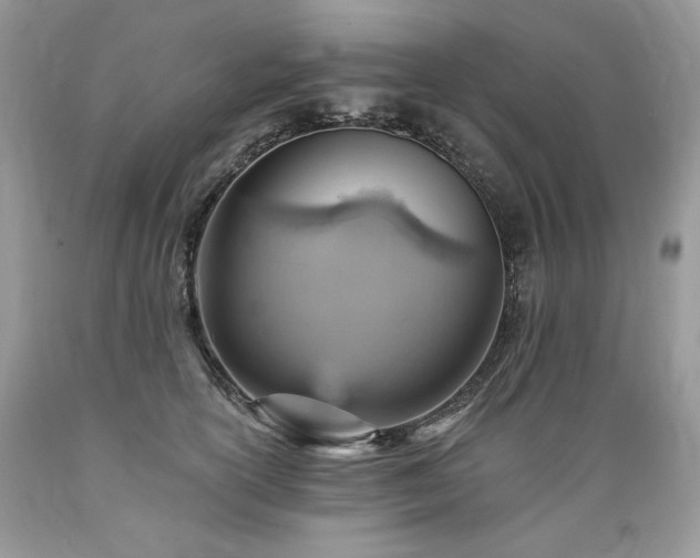 X0000089380754200706221254
