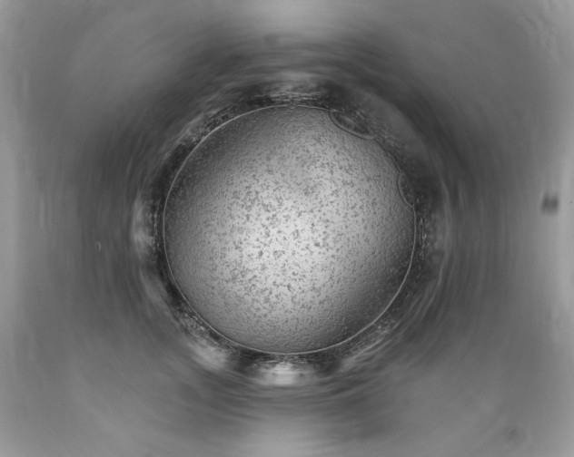 X0000089380755200706221254