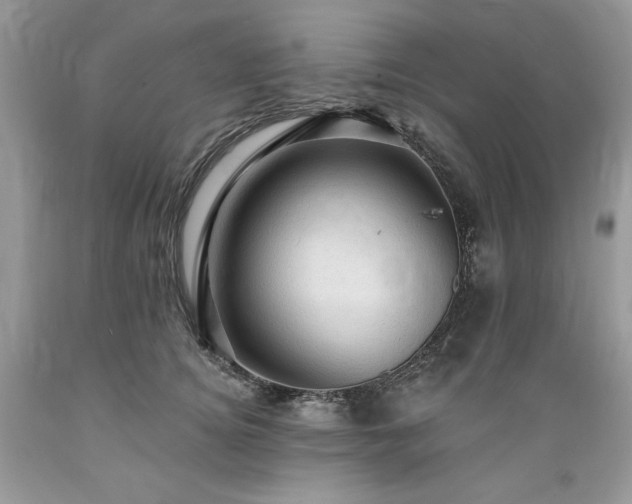 X0000089380756200706221254