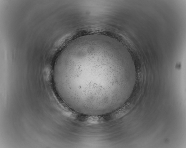 X0000089380757200706221254
