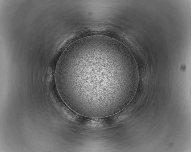 X0000089380758200706221254