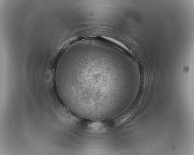 X0000089380759200706221254
