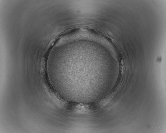 X0000089380760200706221254