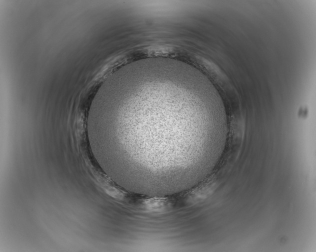 X0000089380761200706221254