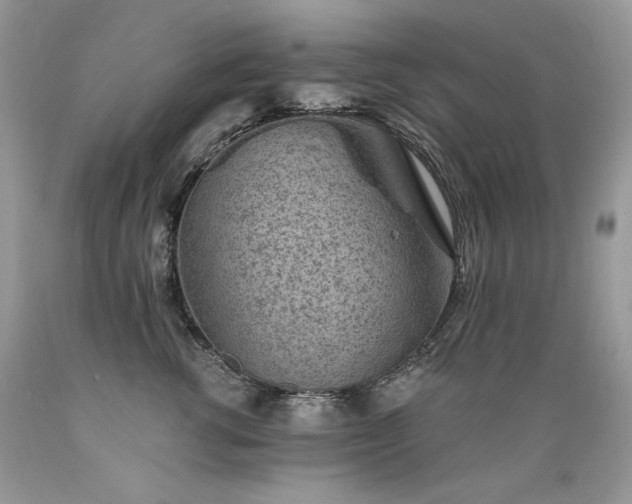 X0000089380762200706221254