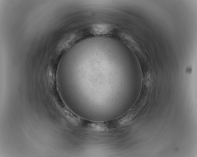 X0000089380763200706221254