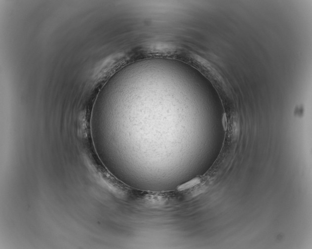 X0000089380764200706221254