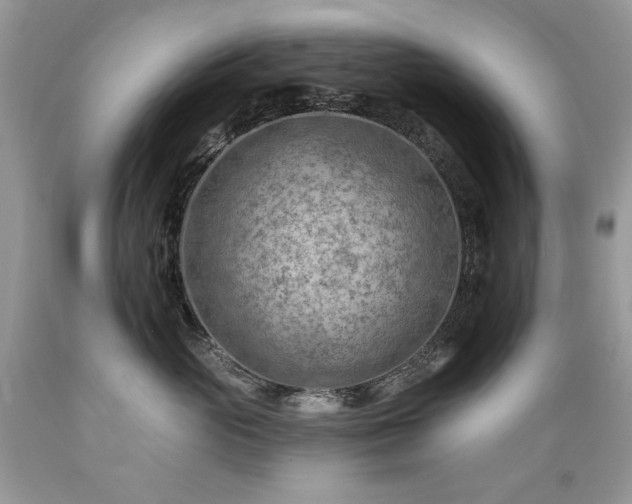 X0000089380765200706221254