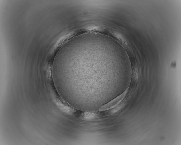 X0000089380766200706221254