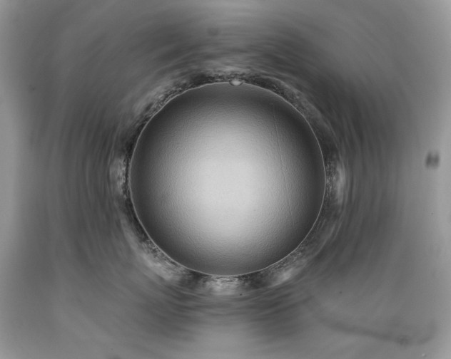 X0000089380767200706221254