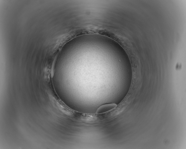 X0000089380768200706221254