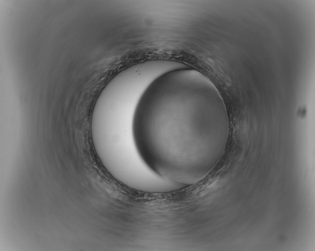 X0000089380769200706221253