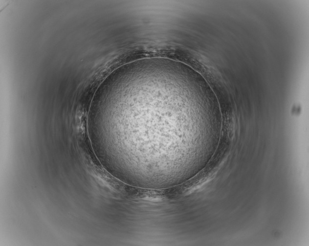 X0000089380770200706221253