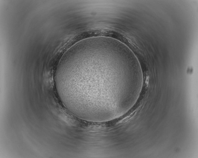 X0000089380771200706221253
