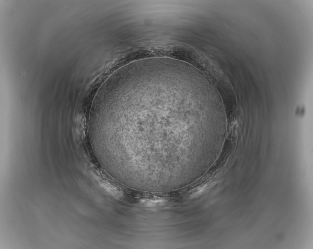 X0000089380772200706221253