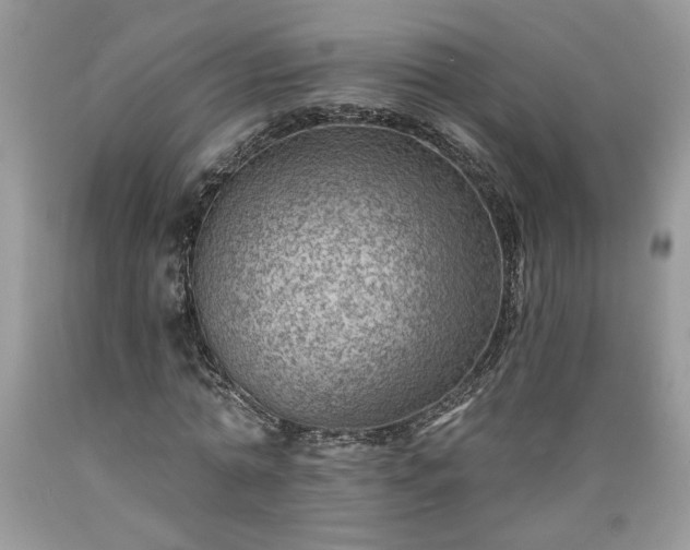 X0000089380774200706221253