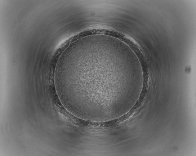 X0000089380775200706221253
