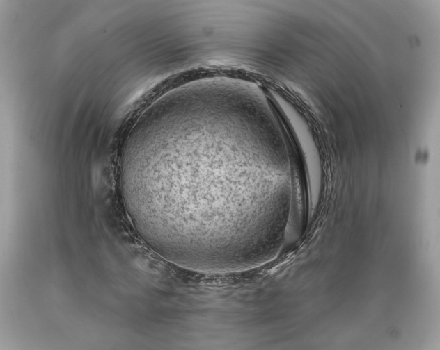 X0000089380776200706221253