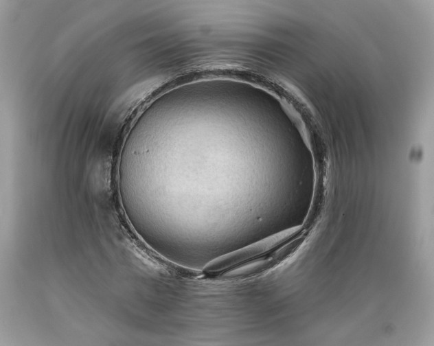 X0000089380777200706221253